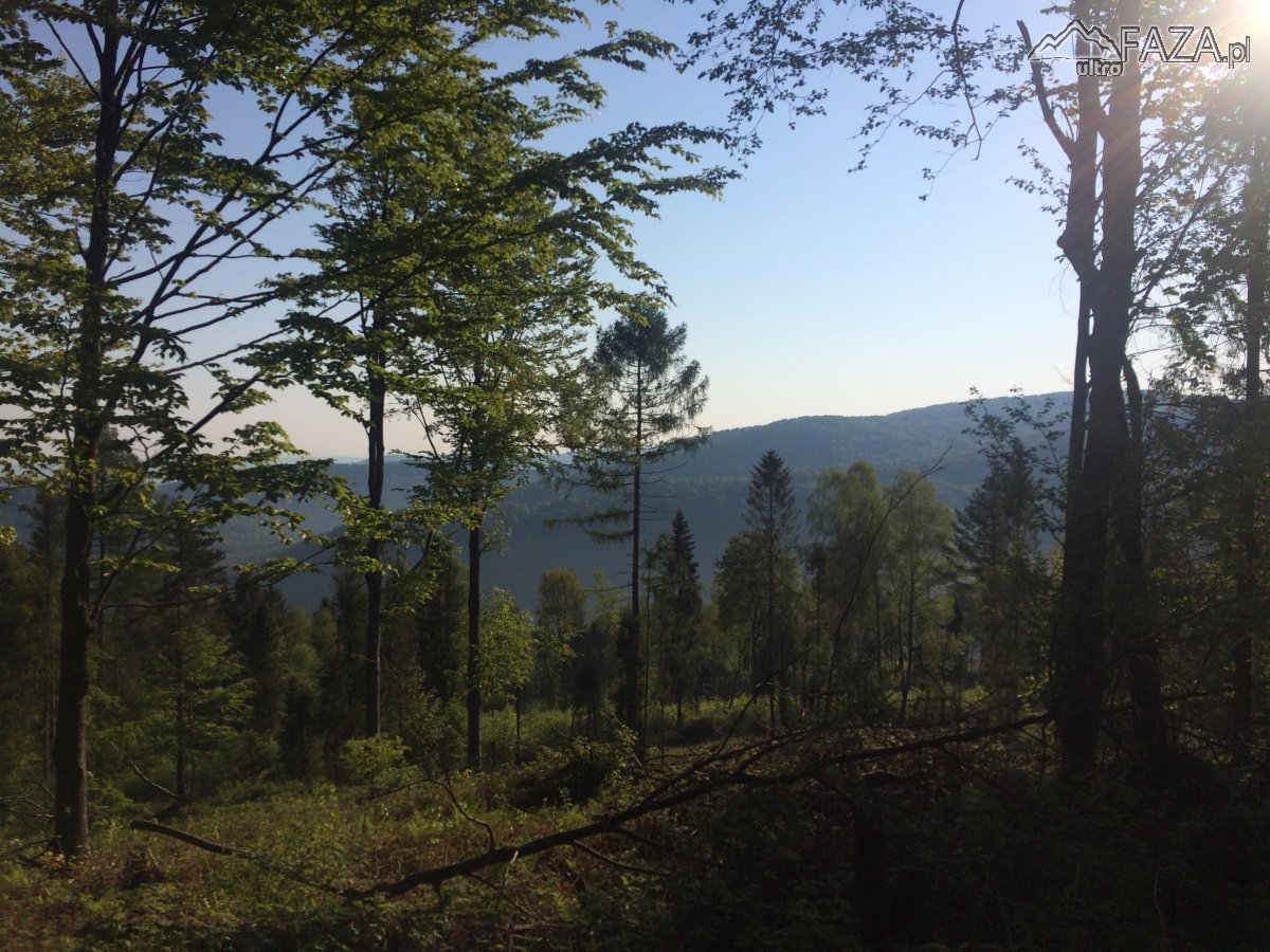 BRZ Ultra - 21.05.2016_12