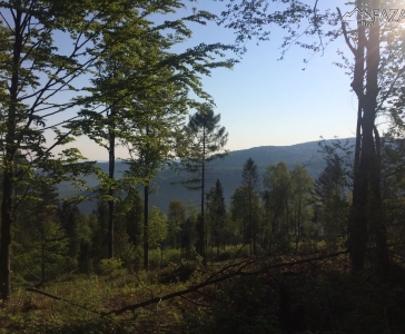 BRZ Ultra - 21.05.2016_12