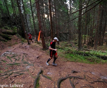 Garmin Ultra Race 2016 - 53km_15