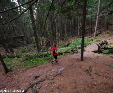 Garmin Ultra Race 2016 - 53km_2